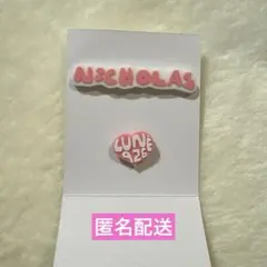 &TEAM popup デコパーツ Nicholas