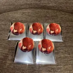 プロジェクトセカイ カラフルステージ！　缶バッジ 5点セット 暁山瑞希