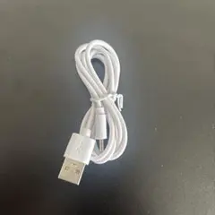 ホワイト USB type-C 変換アダプター