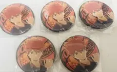 ハイキュー 日向翔陽 缶バッジ