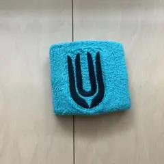 2025年最新】UNISON SQUARE GARDEN リストバンドの人気アイテム
