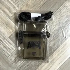 金城 マルチケース ※トレカなし