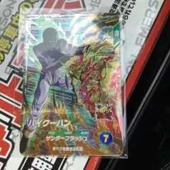 【極美品最安値】パイクーハン sdv6-073 ダイバーズ