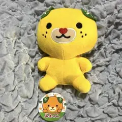 タグ付きみきゃんぬいぐるみ 愛媛限定キャラクター