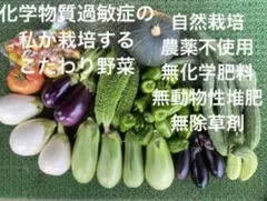 自然栽培　固定種　在来種　野菜詰め合わせ　ミニトマト　自然農法のサムネイル