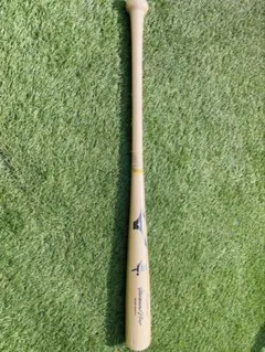 Item thumbnail for item d1b9bc28-a6b8-42f8-a121-6bf2faff532a