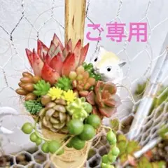 ☆ハリネズミちゃんのブリキカップ寄せ～☆