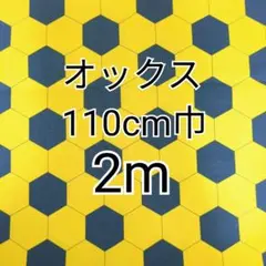 サッカーボール柄　オックス生地 2m