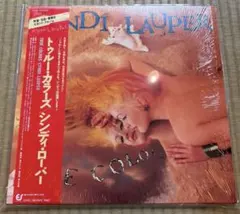 レコード新品同様! リトルフィート ディキシーチキン1977年発売 補充票