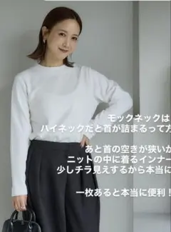 【新品・未使用タグ付き】　しまむらコラボ　田中里奈モックネックTシャツ　長袖　S