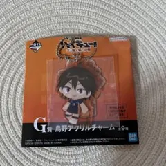 ハイキュー　山口忠