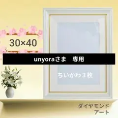 SaKi☆プロフ読んで下さい様専用 - メルカリ