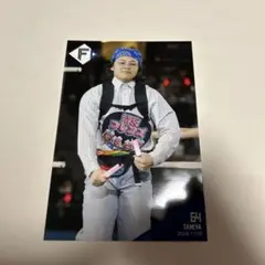 Item thumbnail for item 18ed7975-c6bb-447b-a304-2af4f5eaabb2