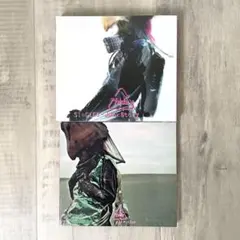 【hide】SINGLES Junk Story・In Motion 2枚セット