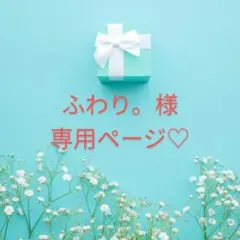 ふわり。様専用ページ♡