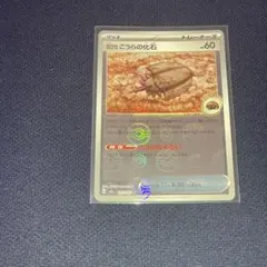 2025年最新】古びたこうらの化石 マスターの人気アイテム - メルカリ