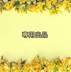 専用