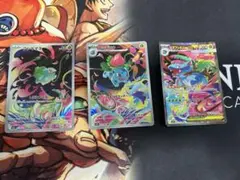 メガフシギバナex sar 進化ラインセット　ar