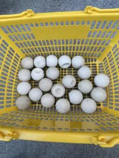 Item thumbnail for item d2cca06d-52e8-43d0-8384-b7a3555eb347