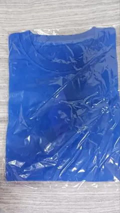 Item thumbnail for item 52a381dd-f487-4cc0-87c4-1eda459e9720