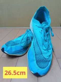 Nike ZoomX Vaporfly Next% 2