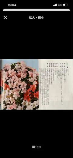jpukliahiala様専用購入ページ