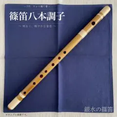 Item thumbnail for item 288666fe-b36c-4cb0-8209-66ce71fe12f8