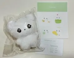 2025年最新】NCT wish ぬいぐるみ マスターの人気アイテム