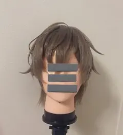VTuber コスプレ ウィッグ 犯罪学教室のかなえ先生 - メルカリ