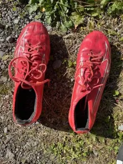 サッカースパイク 24.5