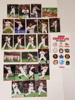 カルビープロ野球チップス・BBM読売ジャイアンツカード、カードホルダーセット