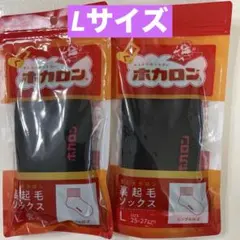 履くホカロン　裏起毛ソックス　Lサイズ　2足セット