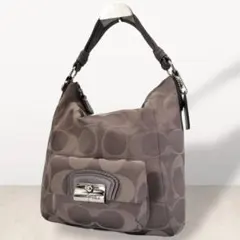 Coach Signature One Shoulder Bag Purple
