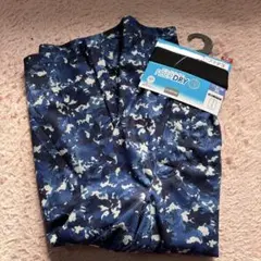 Item thumbnail for item 2f1d1679-93ba-4167-88be-85a633202a5e