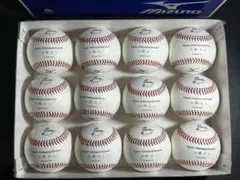 NPBボール 公式球 硬式ボール 1ダース 硬式練習球 サインボール