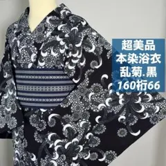 超美品　綿紬　本染浴衣　着物　夏物　161裄66 黒　菊　青　広襟　ストライプ 超美品 綿紬 本染浴衣 着物 夏物 161裄66 黒 菊 青 広襟 ストライプ