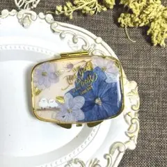紫陽花とシマエナガのピルケース，小物入れ♪