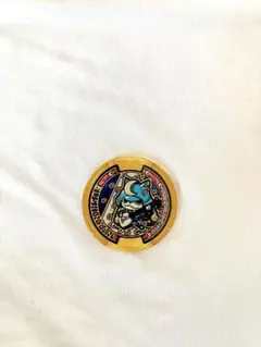 妖怪ウォッチメダル ブシニャン 希少 This completes the collection! Legend Medal Zero Bushinyan Z
