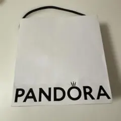 PANDORA ショップ袋 ショッパー 紙袋のサムネイル