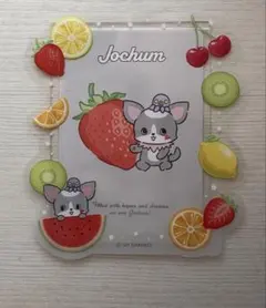 JO1 JOCHUM 硬質カードケース ステッカー チュララ