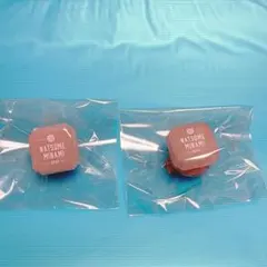 棗巳波 リンライ リングライト 2個