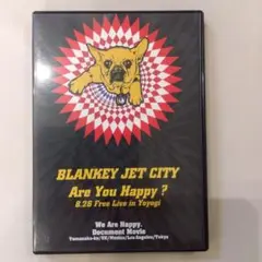 BLANKEY JET CITY Are You Happy ? DVD