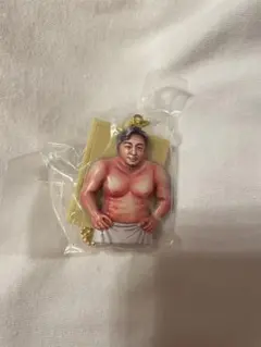 体格ブラザーズ　ビッグボディーコレクション　平子さん額装キーホルダー