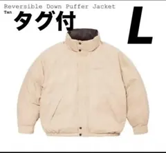 Item thumbnail for item 61c13706-5f4f-4a1e-9129-407e45290d41