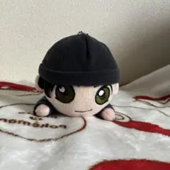 名探偵コナン 赤井秀一　ぬいぐるみ