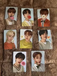 ナシフィック　スキズ　トレカ　セット