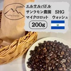 【注文後焙煎】エルサルバドル サンラモン農園 SHG 優しい甘みとバランスのサムネイル