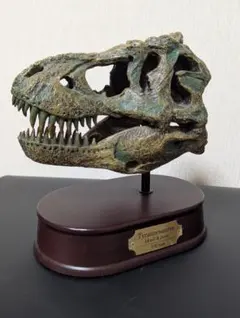 DINOWORLD】ティラノサウルス 頭骨 化石 ジュラシックパーク - メルカリ