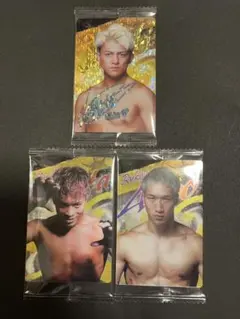 RIZINウエハースカード鈴木千裕他7枚