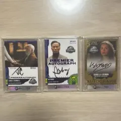 Item thumbnail for item f039f1c5-aac4-46ff-a467-ae998bbb7d4e